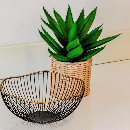 Apartman Stunning In